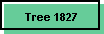 Tree 1827
